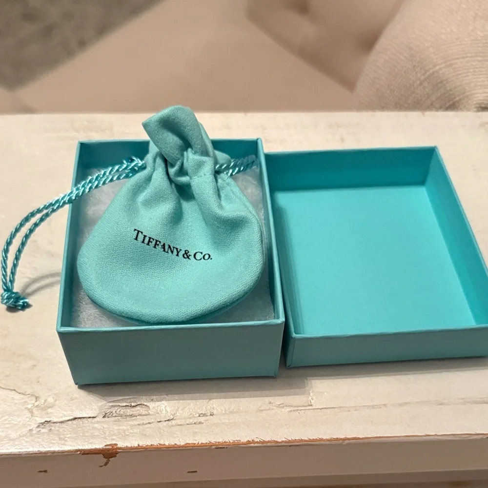 Tiffany & Co. Turquoise Gift Box and Pouch only authentic